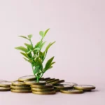 Jeune pousse sortant de pièces de monnaie, symbole de revenus en hausse