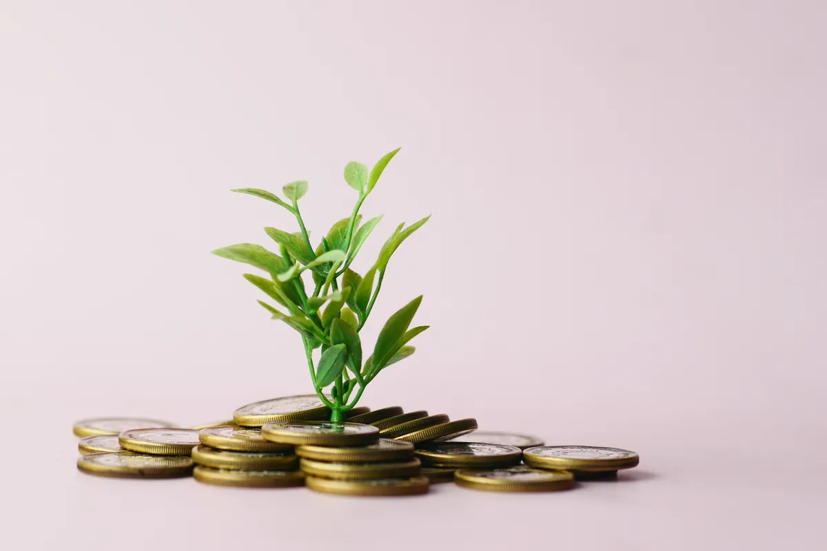 Jeune pousse sortant de pièces de monnaie, symbole de revenus en hausse